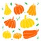 Collection Pumkins. Vegetable set. Doodle outline illustration.