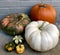 Collection of pumpkins of different colors