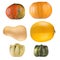 Collection of pumpkins on white background
