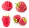 Collection of raspberries isolated on the white background