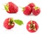 Collection of raspberries isolated on the white background