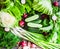 Collection of raw green vegetables on rustic background, vegan