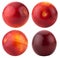 Collection of red cherry plums isolated on the white background