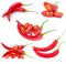 Collection of red chilli peppers isolated on the white backgroun