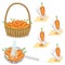 Collection. Ripe beautiful carrots. Vegetables are collected in a basket, washed in a colander with water, ground in a grater.