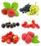 Collection of ripe berry fruits isolated