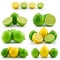 Collection of Ripe Lime and Lemon Isolated