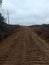 A collection road in plantations with a background cloudy sky. An excavator just finished the construction