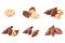 Collection of Salak snake fruit on white background