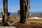 A collection of sap pails with a scenic view