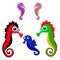 Collection of seahorses, cartoon on a white background.