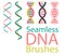 Collection of seamless brushes of abstract DNA elements