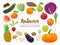 Collection of seasonal fruits and vegetables. Autumn time collection. Vector EPS10 illustration.