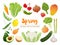 Collection of seasonal fruits and vegetables. Spring time collection. Vector EPS10 illustration.