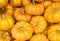 A collection of seasonal orange Mini Pumpkins