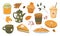 Collection of seasonal seasoned pumpkin spices, food and drink on white background