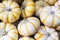 A collection of seasonal White and Yellow Mini Pumpkins Wallpaper