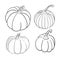 Collection set of hand drawn pumpkin sketch in simple black ink outline. Cute tradition squash autumn clip art. Vector