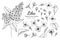 Collection set of lilac flower and leaves drawing illustration