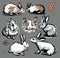 Collection set. Seven rabbits with elements. Drawing illustration in the style of a careless retro sketch by hand.