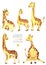 Collection, set of watercolor cute giraffes illustrations