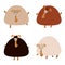 Collection of sheep