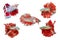 Collection of Siamese Fighting Fish, red Betta Fish on White Background, Half Moon
