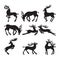 Collection of silhouettes of deer in different