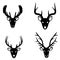 Collection of silhouettes of deer heads