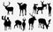 Collection of silhouettes of deers. deer silhouette set . vector . eps 10