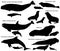 Collection of silhouettes of marine mammals and its cubs