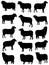 Collection of silhouettes of sheep