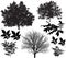 Collection of silhouettes of walnut trees and leaves