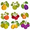 Collection of simple fruits vector icons with green leaves