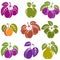 Collection of simple fruits vector icons with green leaves