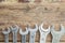 A collection of small wrenches on wooden background.