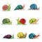 Collection of snails of different shell colours vector Illustrations isolated on a white background