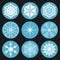Collection snowflake in circle