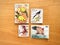 Collection of some birds postage stamp from Malaysia and Philippines