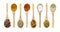 Collection spices on a wooden spoon.