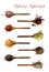 Collection of Spices in Wooden Spoons