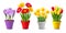 Collection of spring and summer colorful flowers i