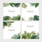 Collection of square backdrops with green tropical leaves. Bundle of backgrounds with foliage of palm tree and exotic
