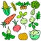 Collection stock of vegetable various doodle set