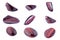 Collection of stone mineral Bull`s Eye Red Tiger`s Eye