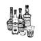 Collection of strong alcohol bottles, hand drawn vector illustration.