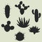 Collection of stylized cactuses and plants