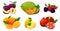 Collection of summer fruits, vitamin vector set
