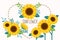 The collection of sunflower set on the white background in flat vector style.