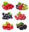 Collection of sweet berries